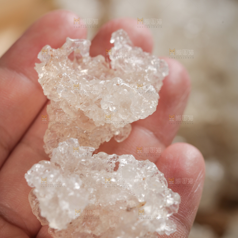 手里拿着拉丝雪燕