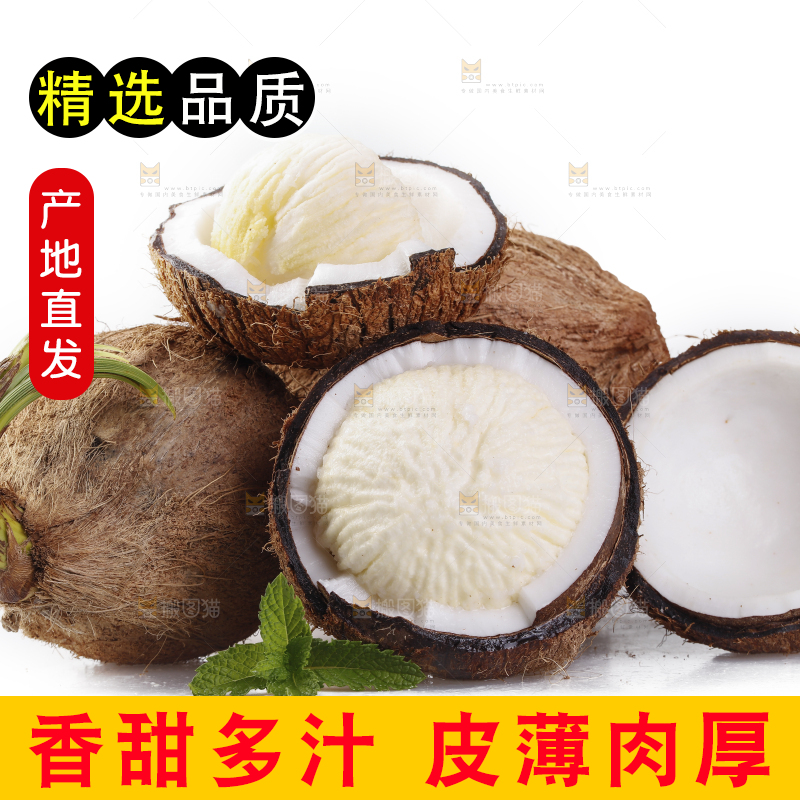 白底上放着一堆椰宝
