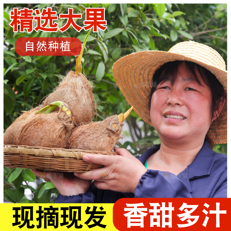 女人手里端着一篮海南椰宝