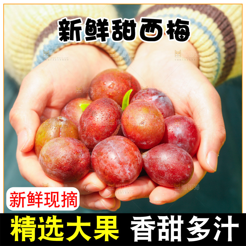 手里捧着西梅