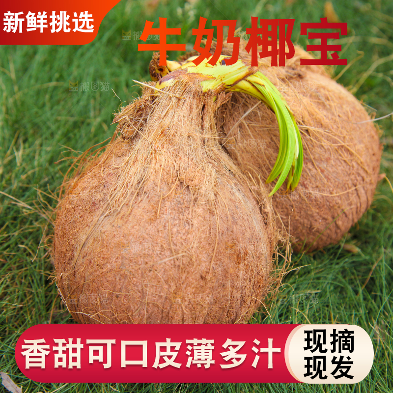 草地上放着椰宝