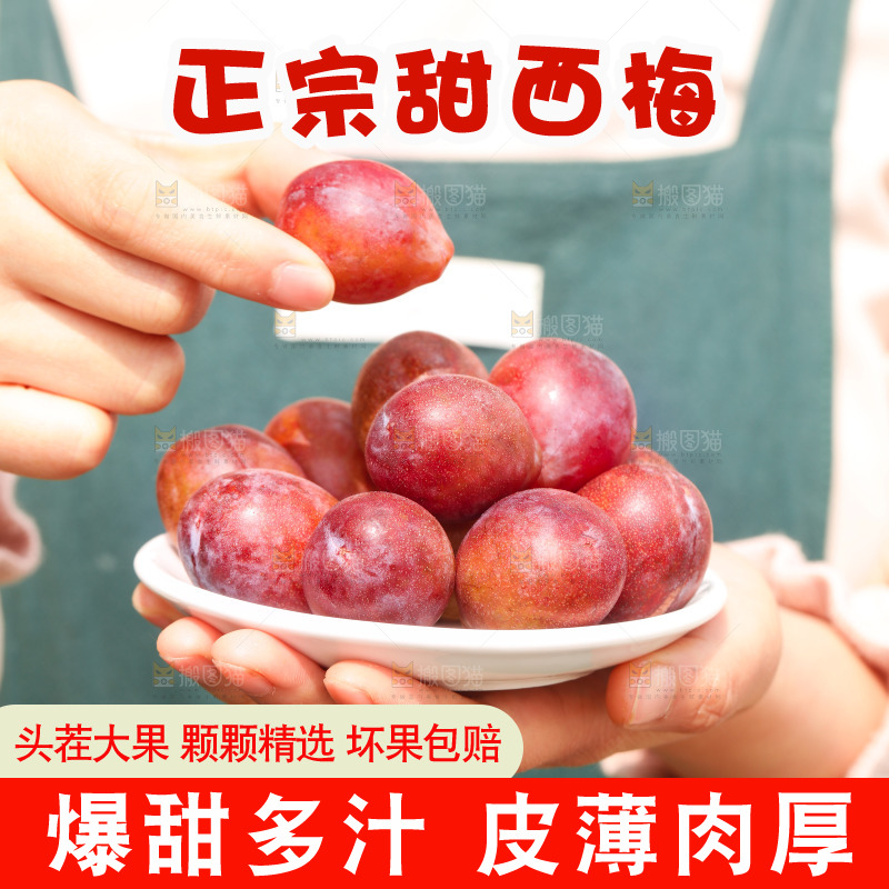手里拿着新鲜西梅