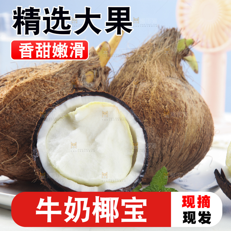 白底上放着一盘椰宝