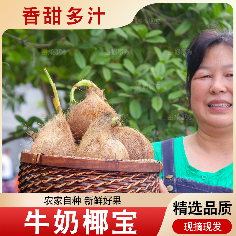 女人手里端着一篮新鲜椰宝