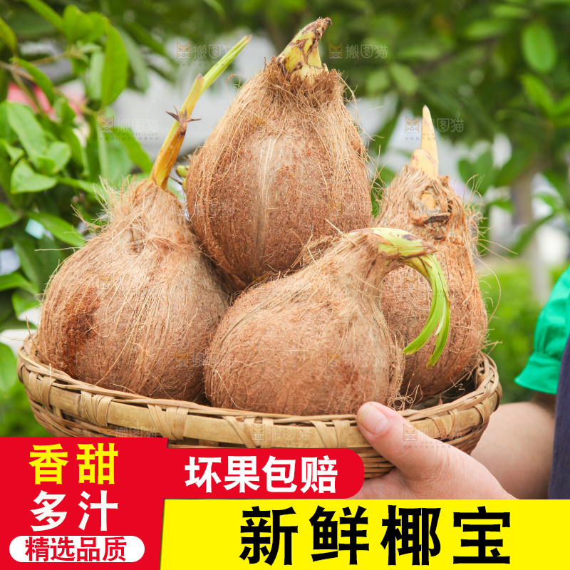 手里端着一篮海南椰宝