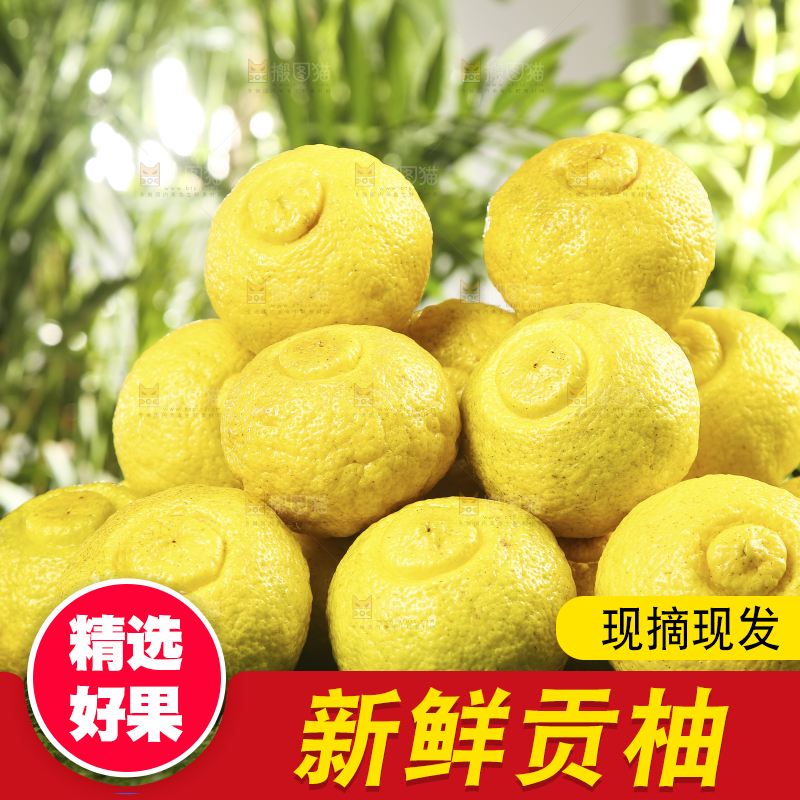 草地上摆放着一堆湖南黄金贡柚