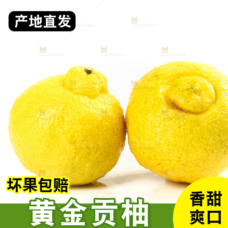 白底上放着贡柚