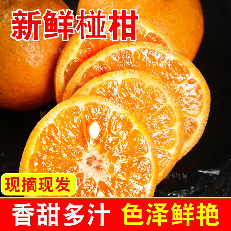 黑底上放着一堆芦柑和椪柑果肉