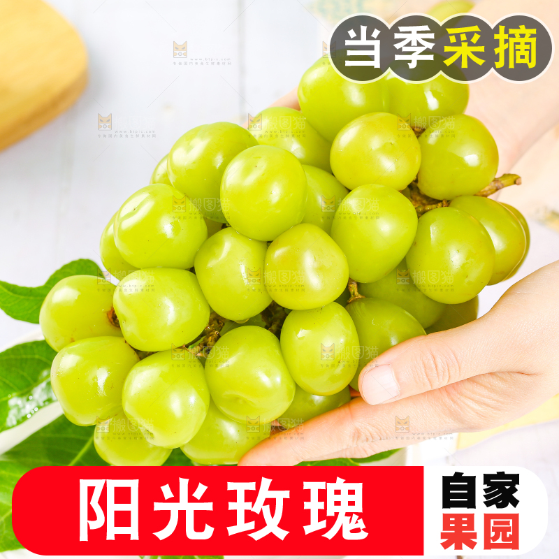 手里拿着一串阳光玫瑰