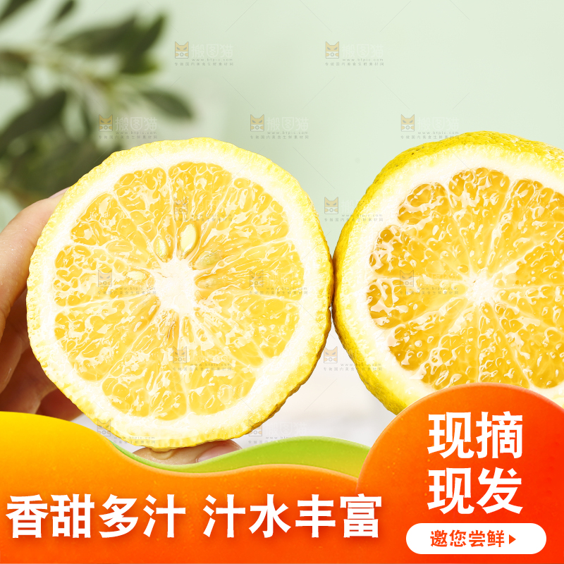 手拿着切开的怀化黄金贡柚
