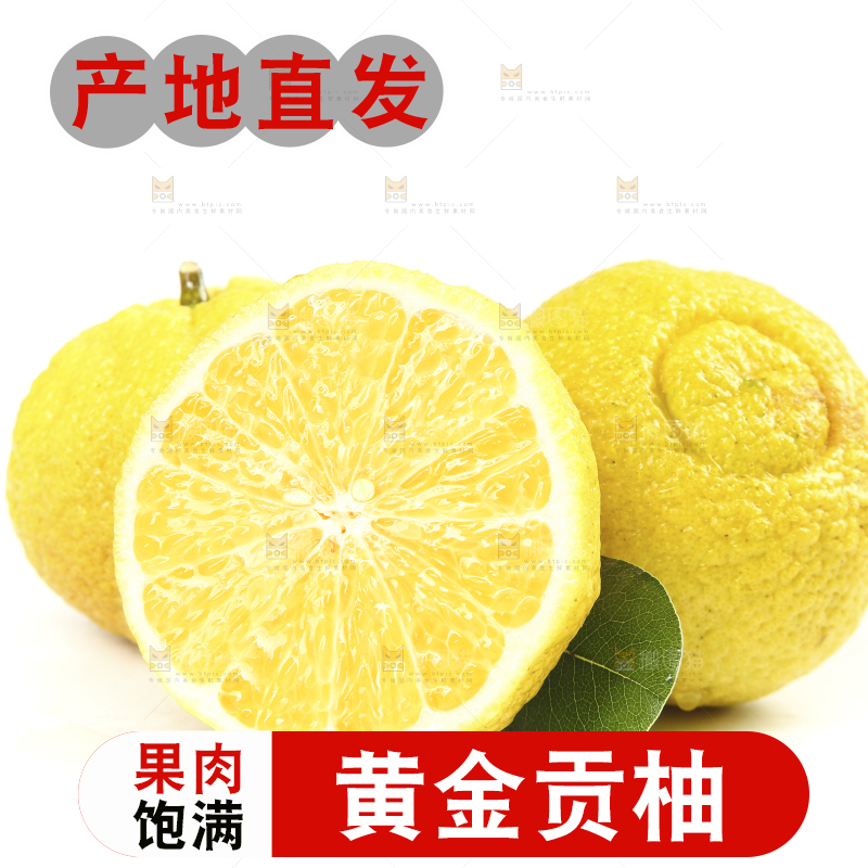 白底上放着贡柚