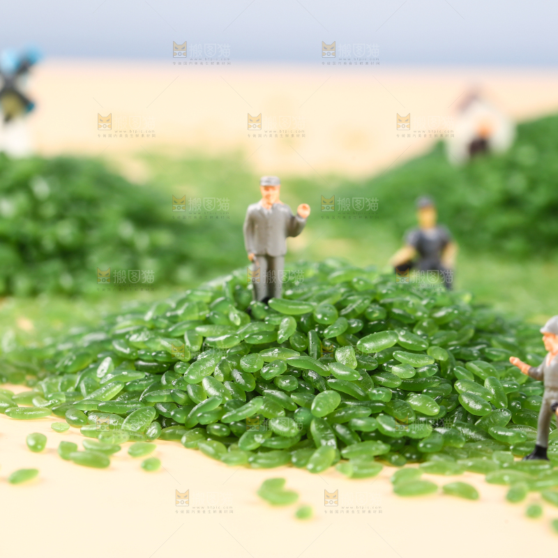 浅底上放着一堆东北绿竹米