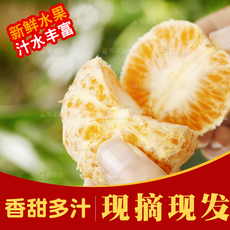 手里拿着椪柑果肉