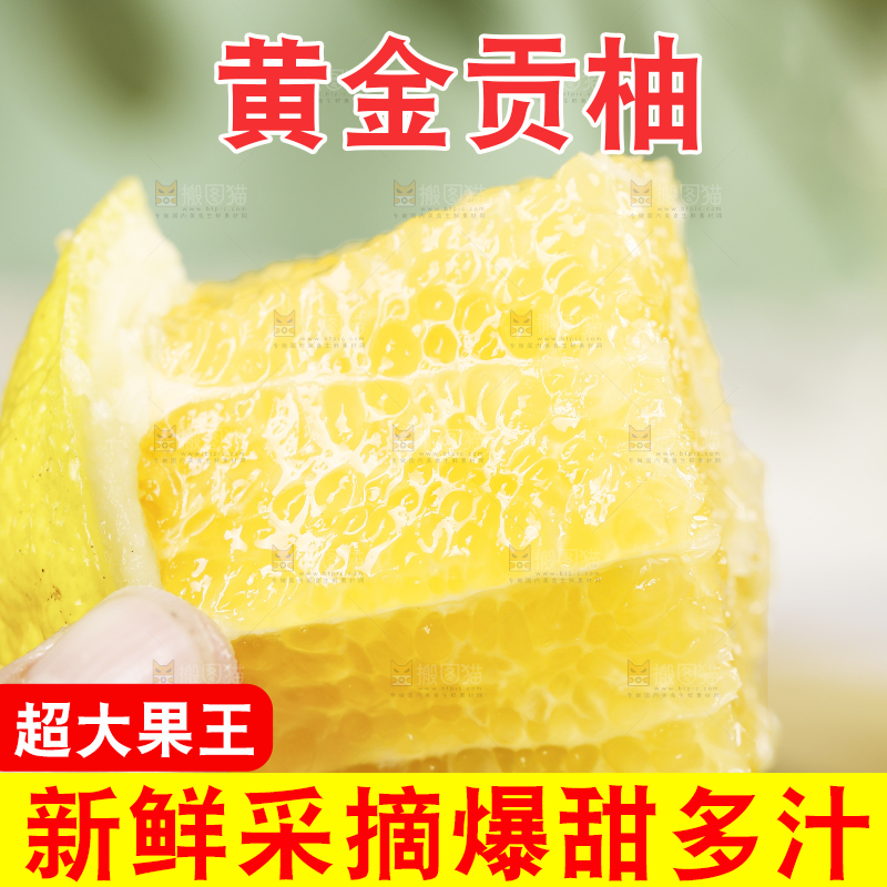 手拿着贡柚果肉
