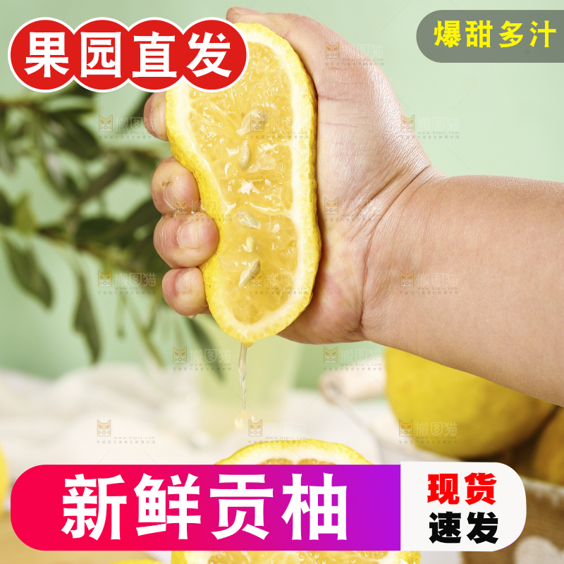 手里爆汁的黄金贡柚
