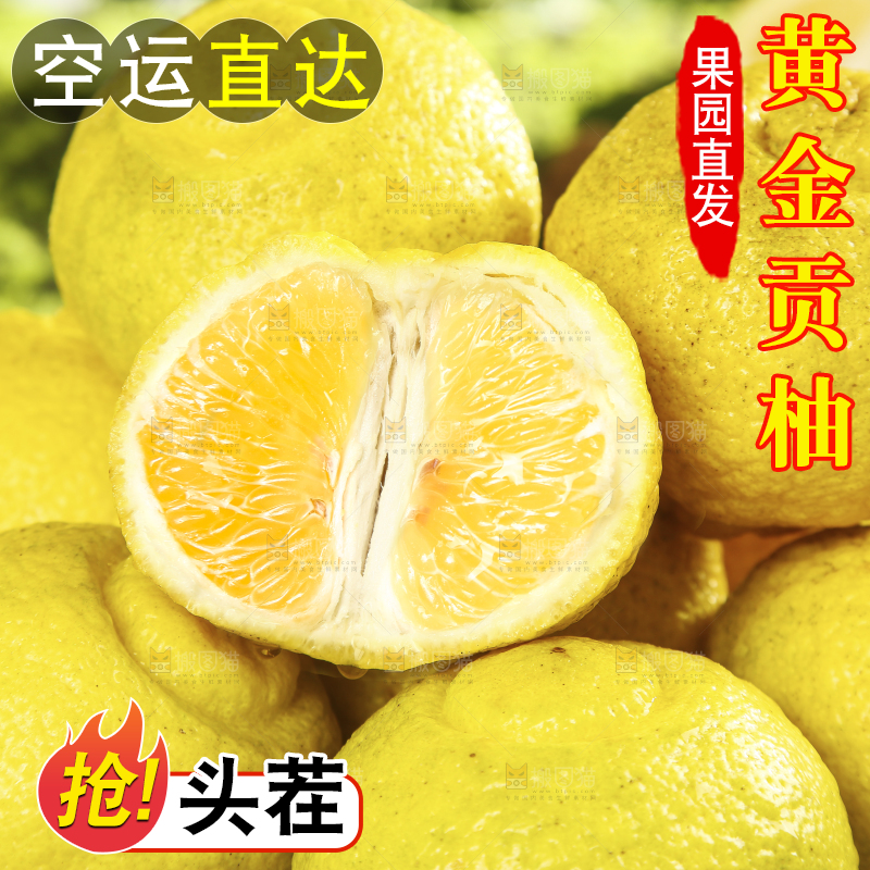 一堆黄金贡柚