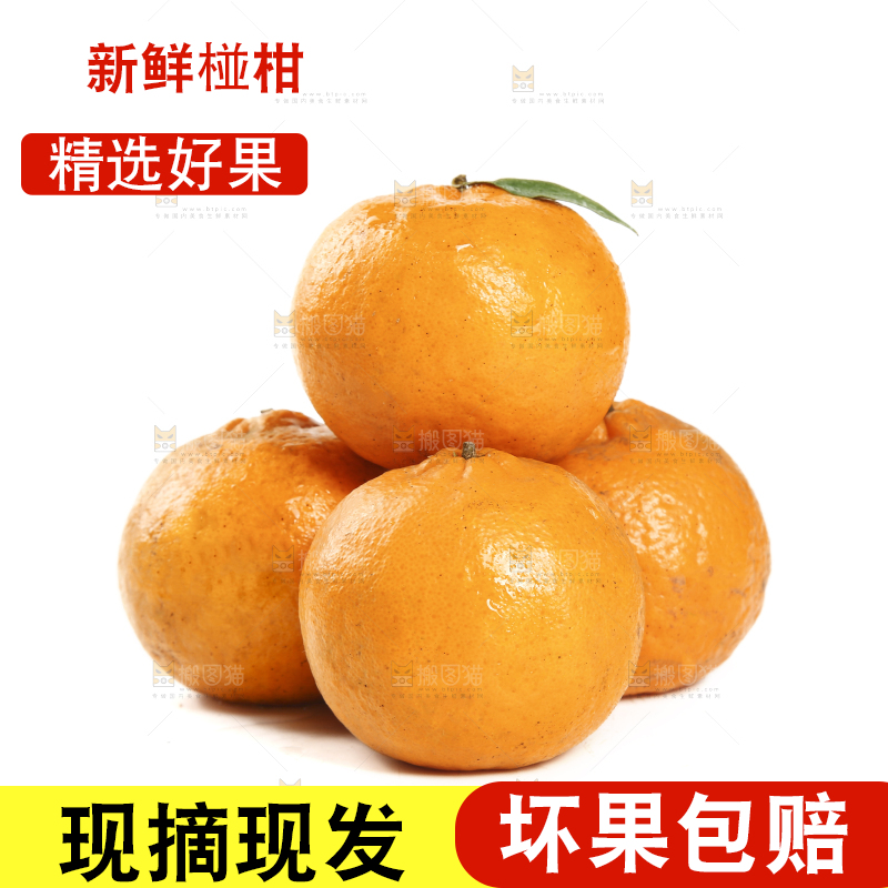 一堆清江椪柑