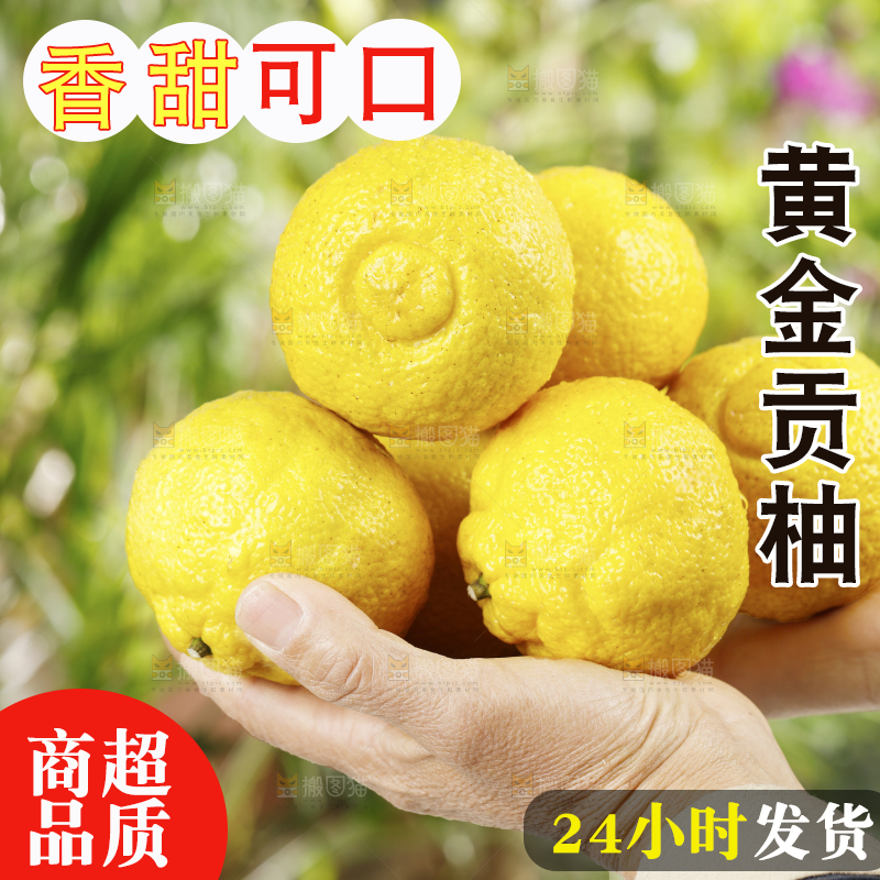 手里捧着黄金贡柚