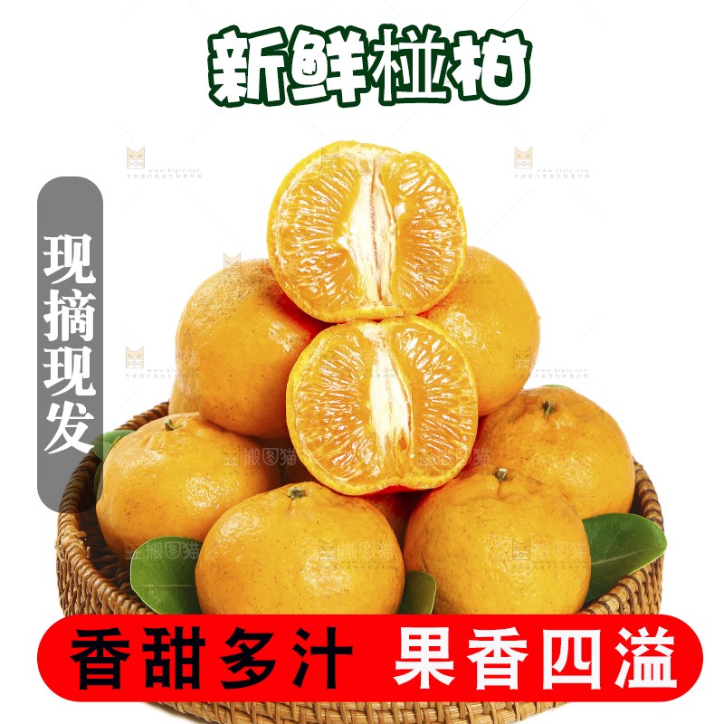 一篮椪柑橘摆在白底上