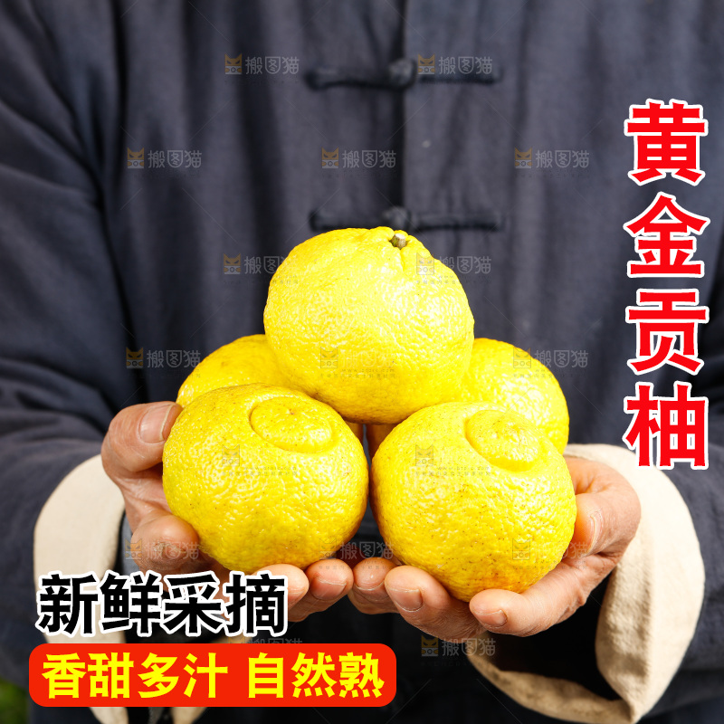 手里捧着黄金贡柚