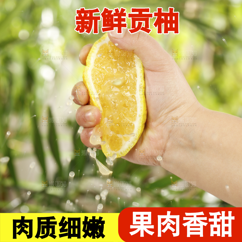 手里爆汁的黄金贡柚