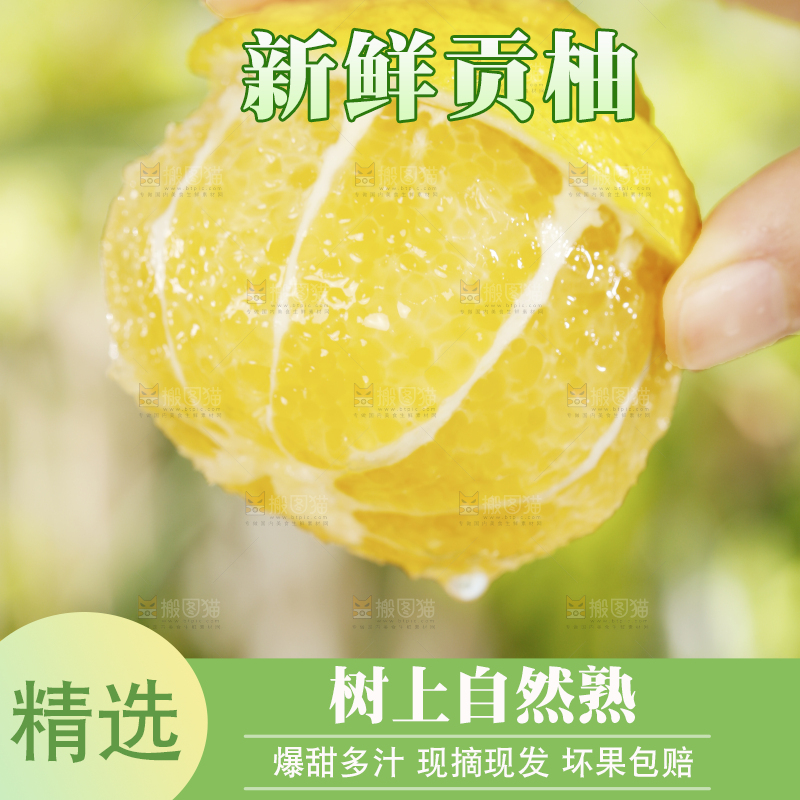 手里拿着贡柚果肉