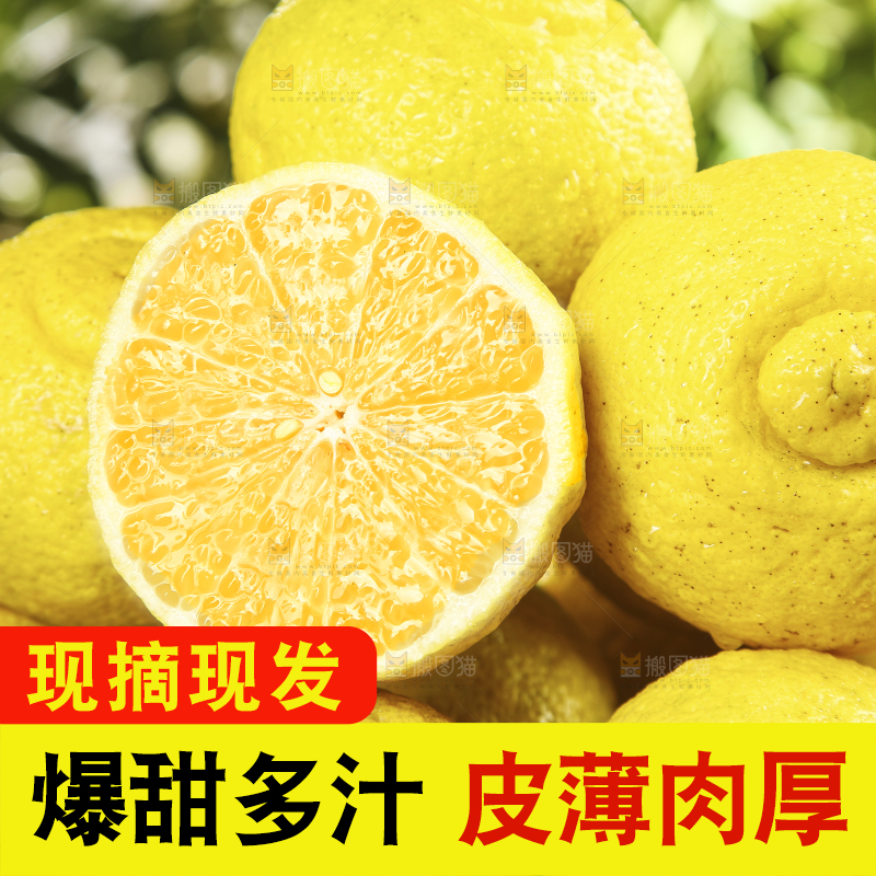 一堆黄金贡柚
