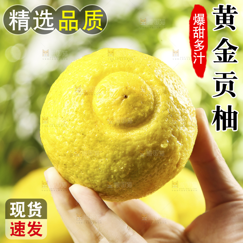 手拿着贡柚