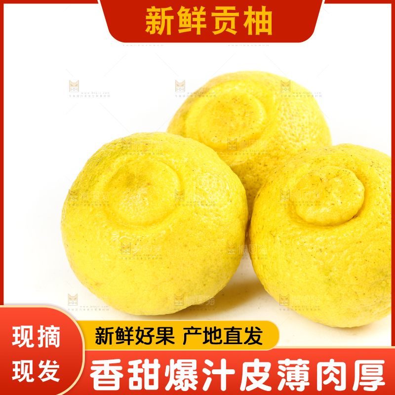 白底上放着贡柚