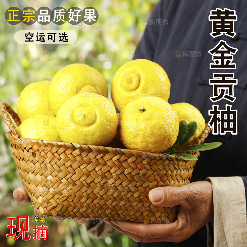 手里端着一筐怀化黄金贡柚