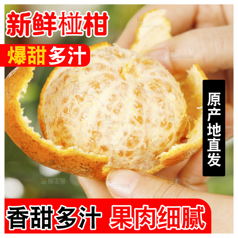 手里剥着皮的椪柑