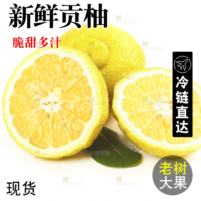 白底上放着贡柚