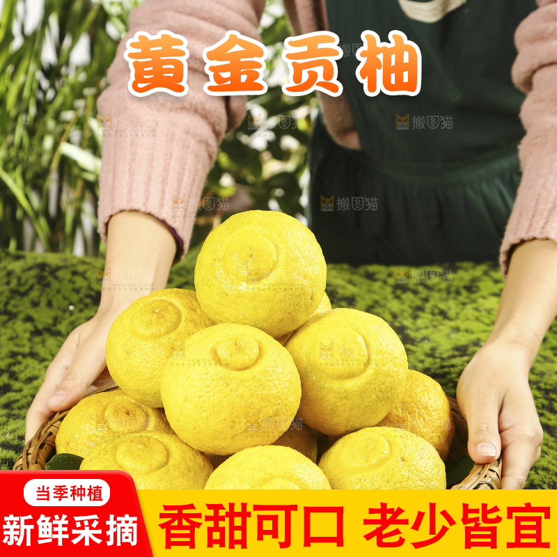 手端着一盘湖南黄金贡柚