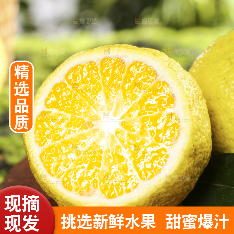 木板上放着黄金贡柚