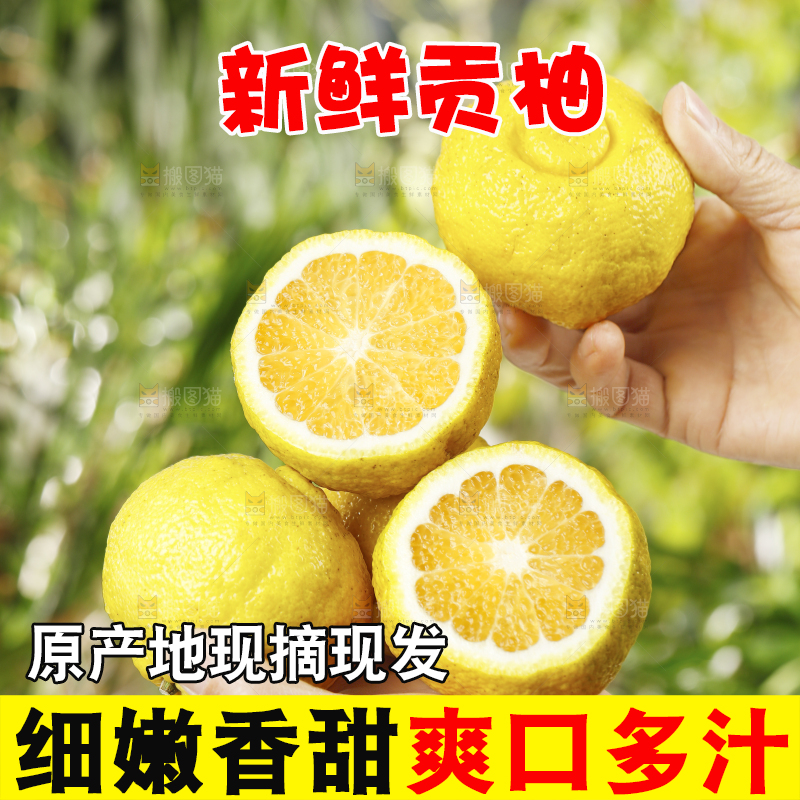 手里捧着黄金贡柚
