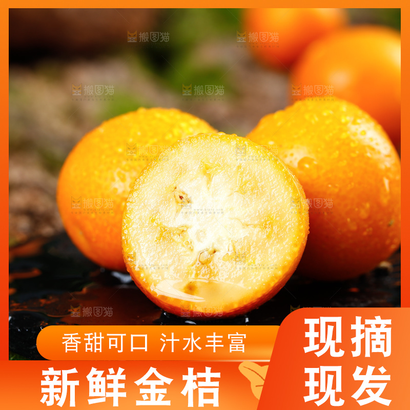 黑底上放着小金橘