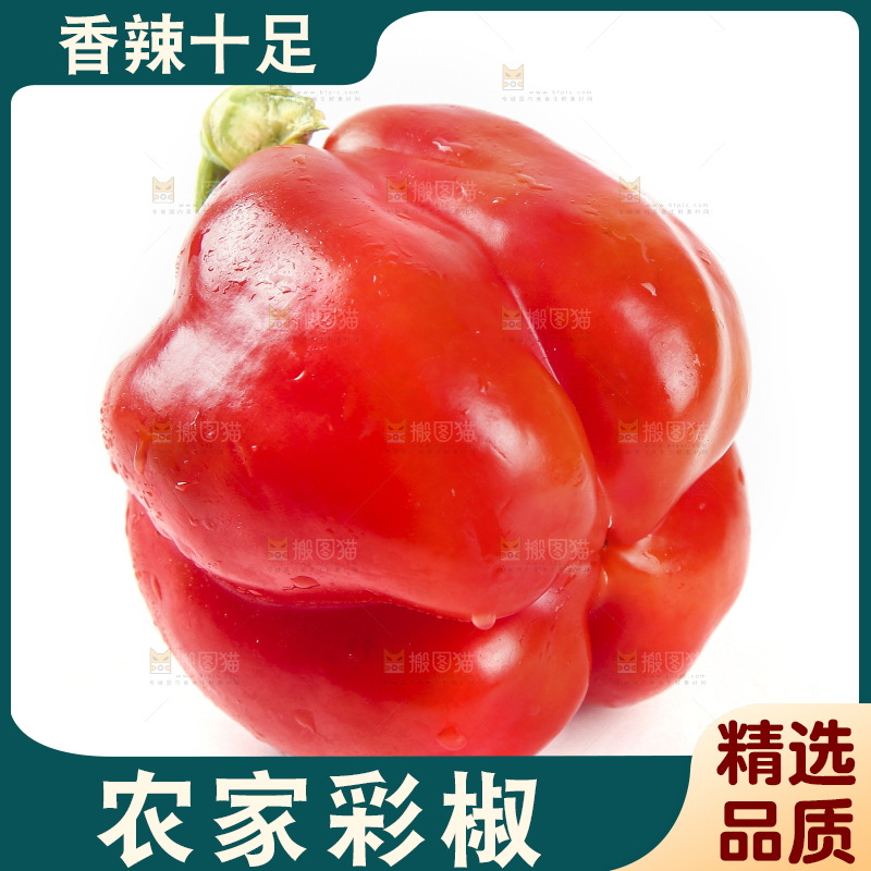 白底上的五彩椒