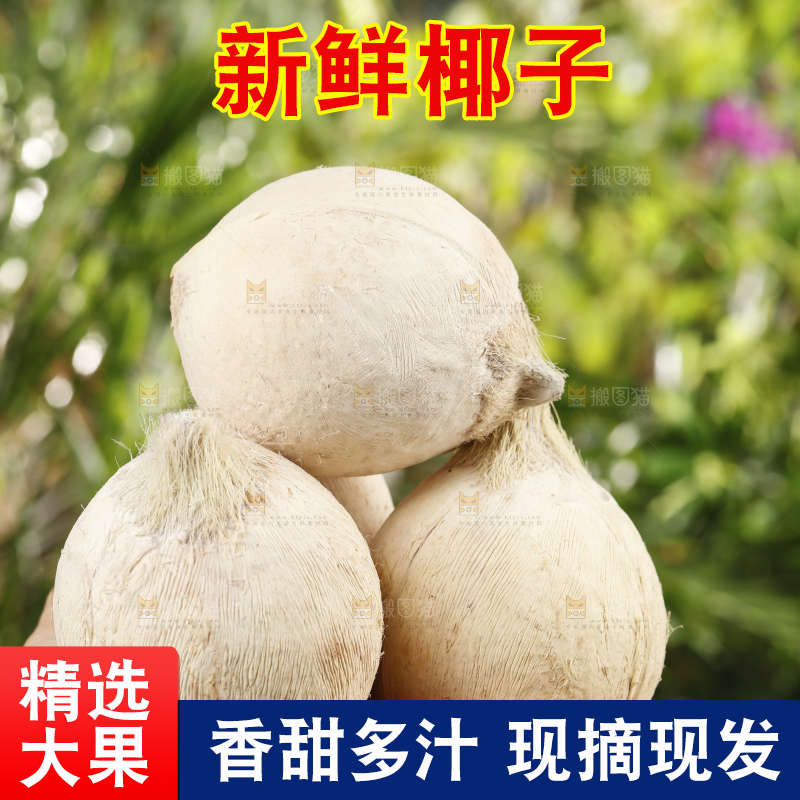 手里捧着一堆牛奶椰子