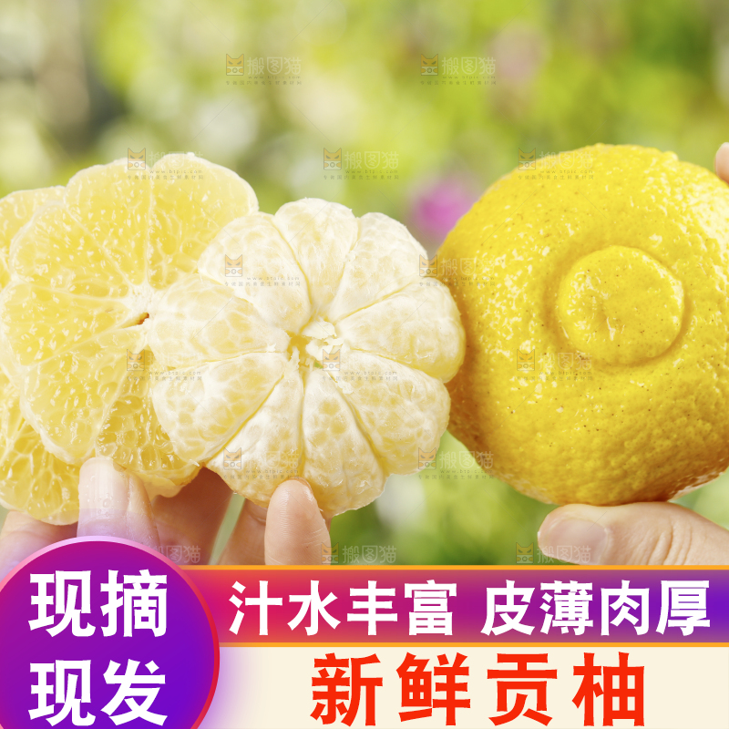 手里拿着贡柚果肉