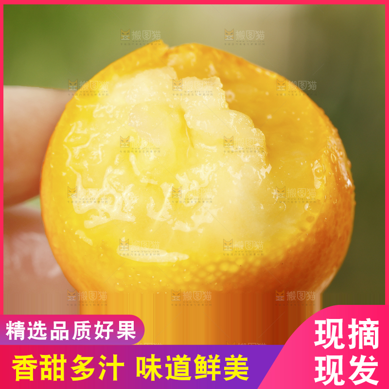 手拿金橘特写