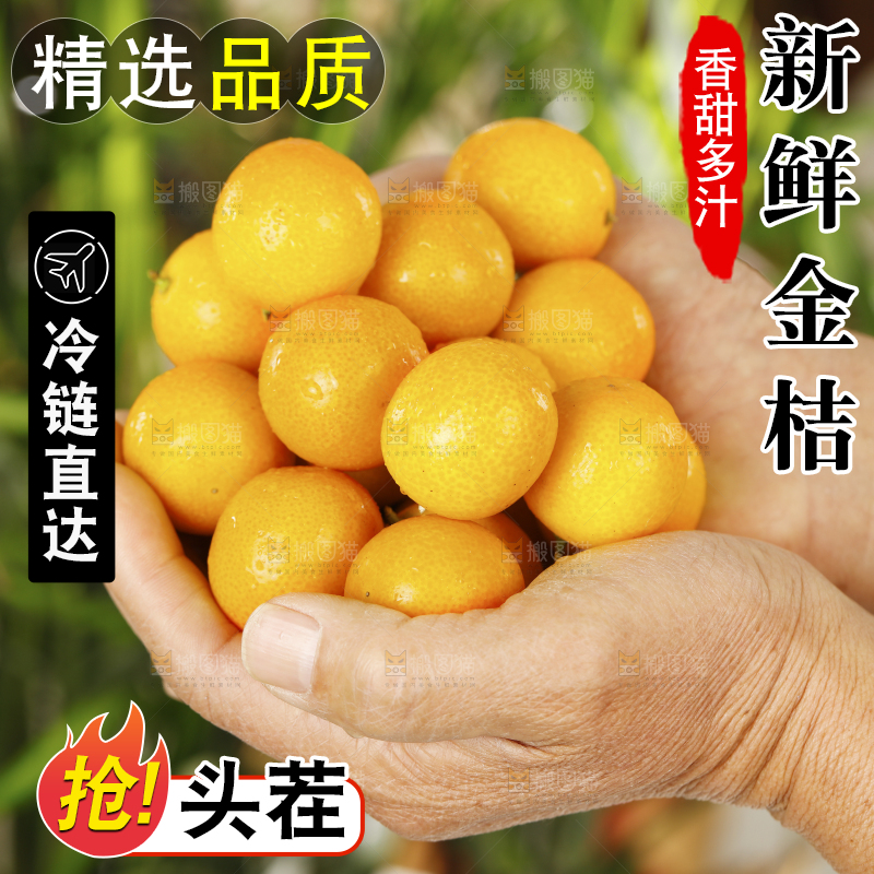 手里捧着脆皮小金橘