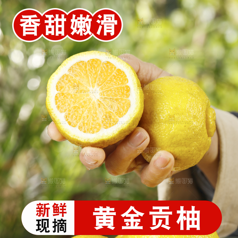 手里拿着怀化黄金贡柚