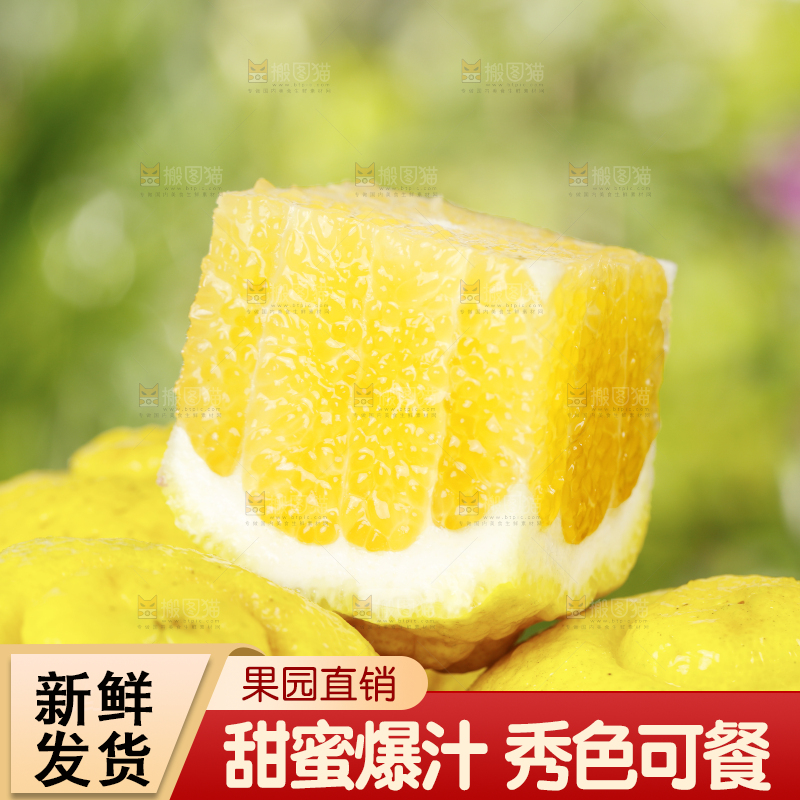 一堆黄金贡柚