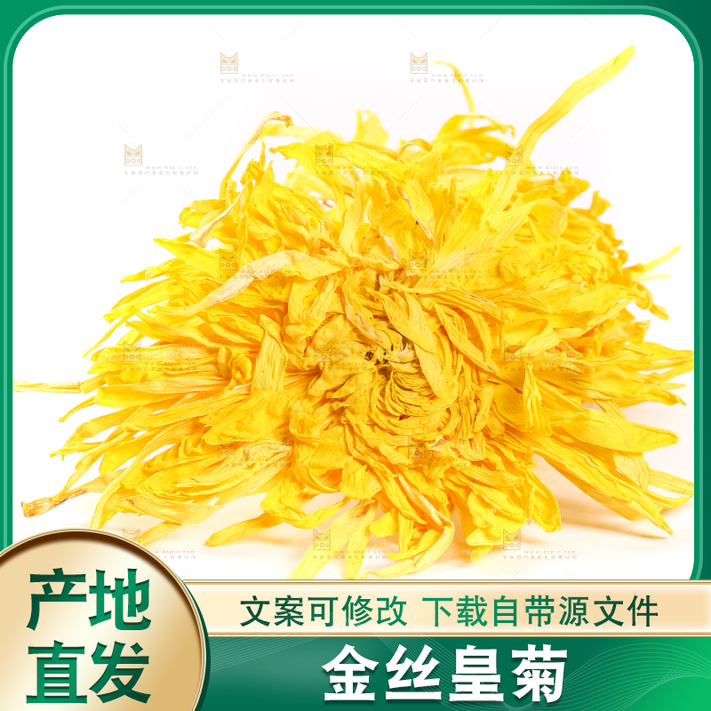 白底上放着贡菊