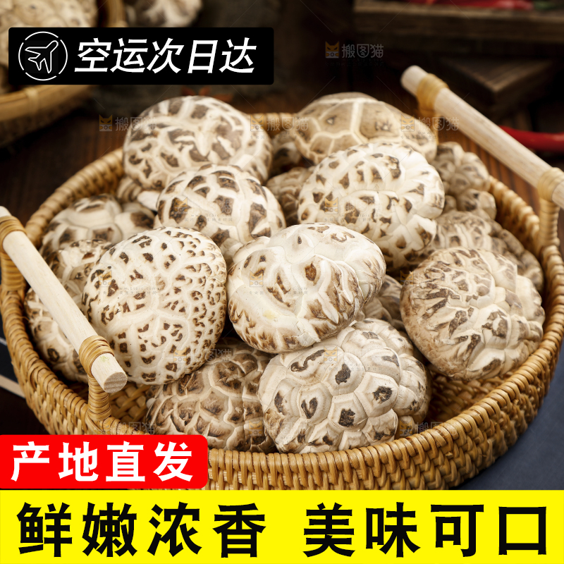 木底上放着一篮椴木花菇