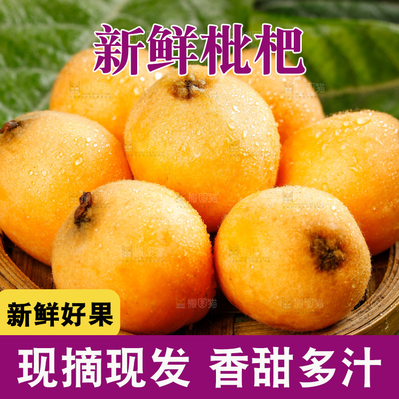 篮子里装着五星枇杷