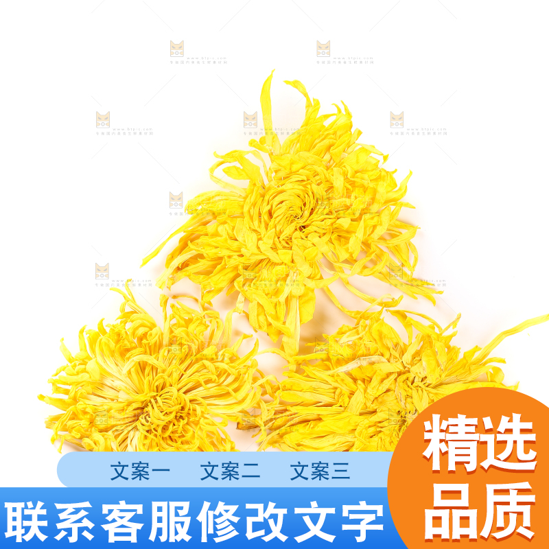 白底上放着贡菊