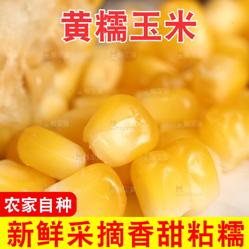盘子里的甜糯玉米