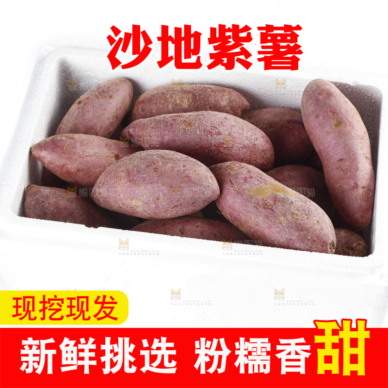 白底上一箱沙地紫薯