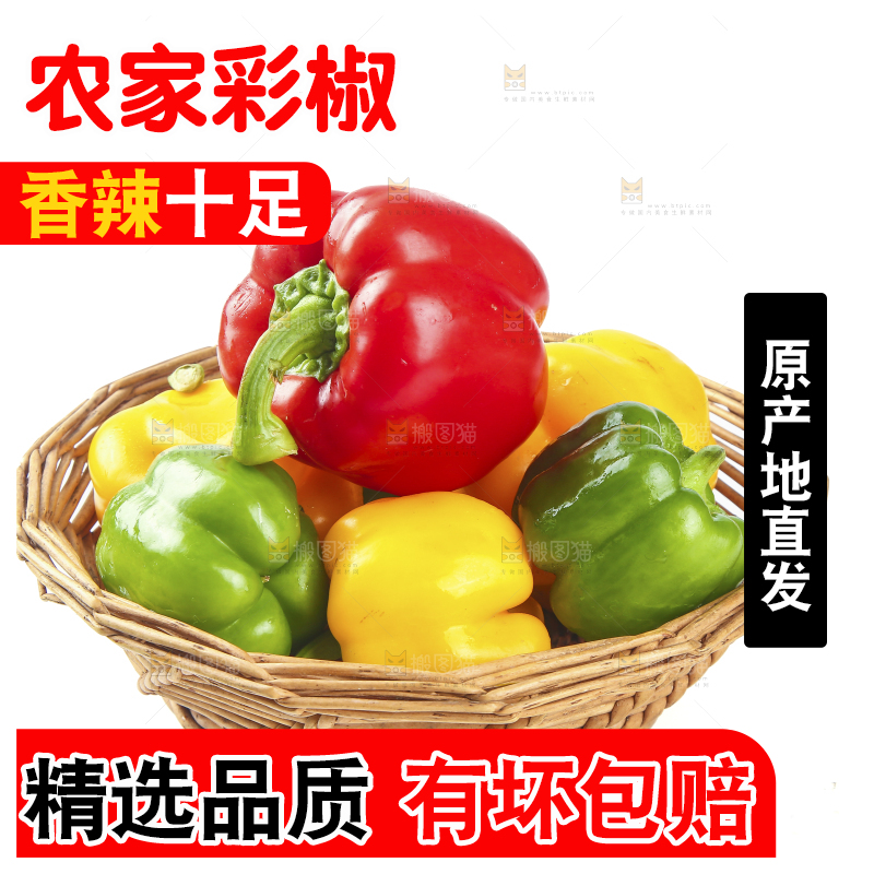 白底上放着一篮山东彩椒